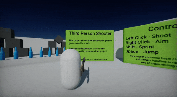 Third Person Shooter